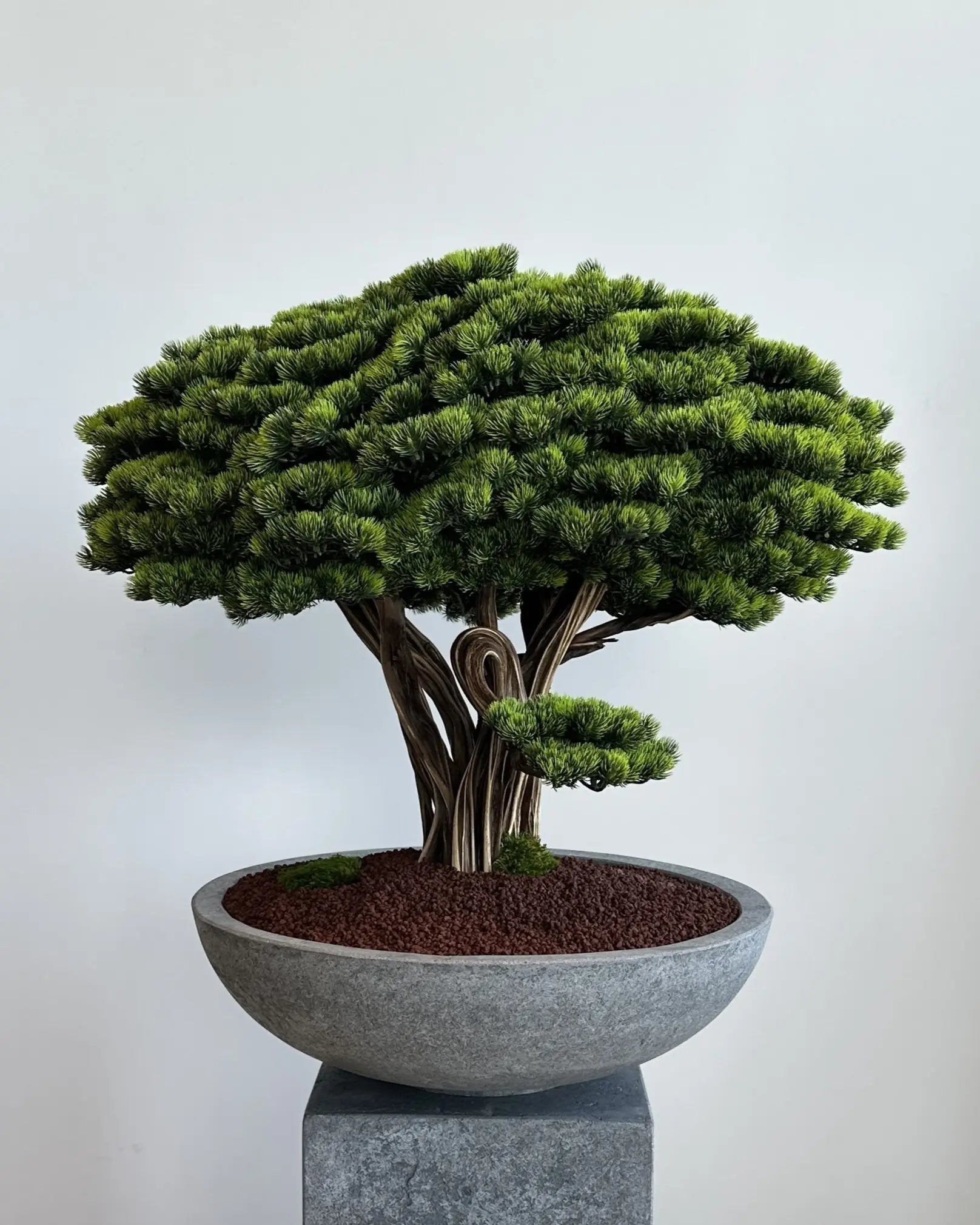 Realistic Artificial Bonsai Tree with Optional Elegant Display Vase