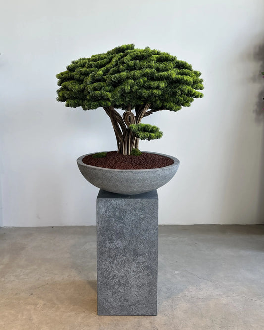 Realistic Artificial Bonsai Tree with Optional Elegant Display Vase