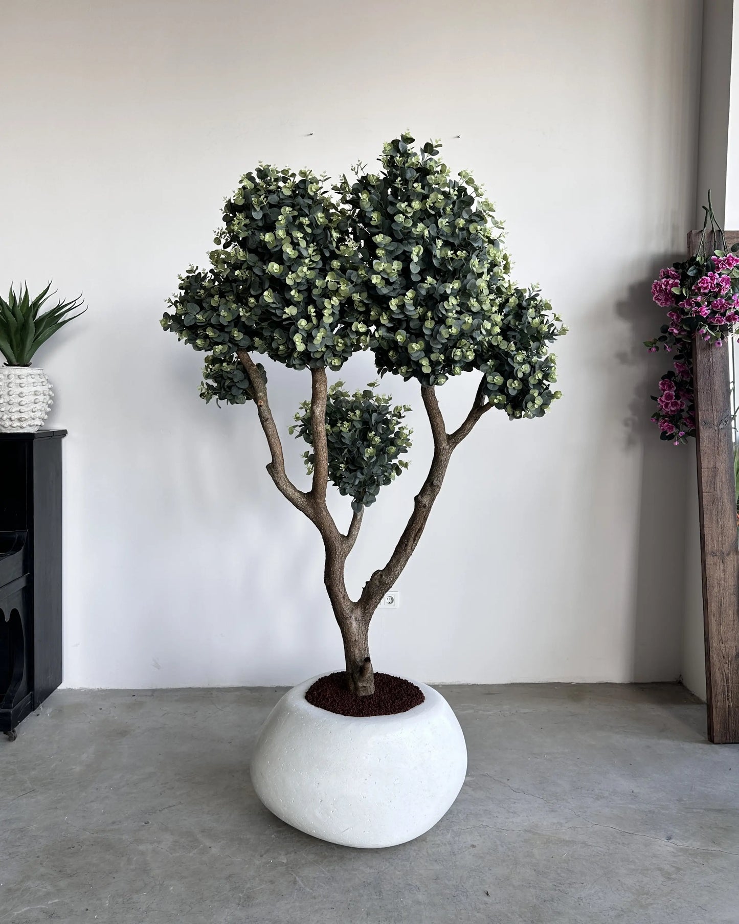 Premium 220cm Artificial Eucalyptus Tree Natural Trunk Concrete Planter Decor