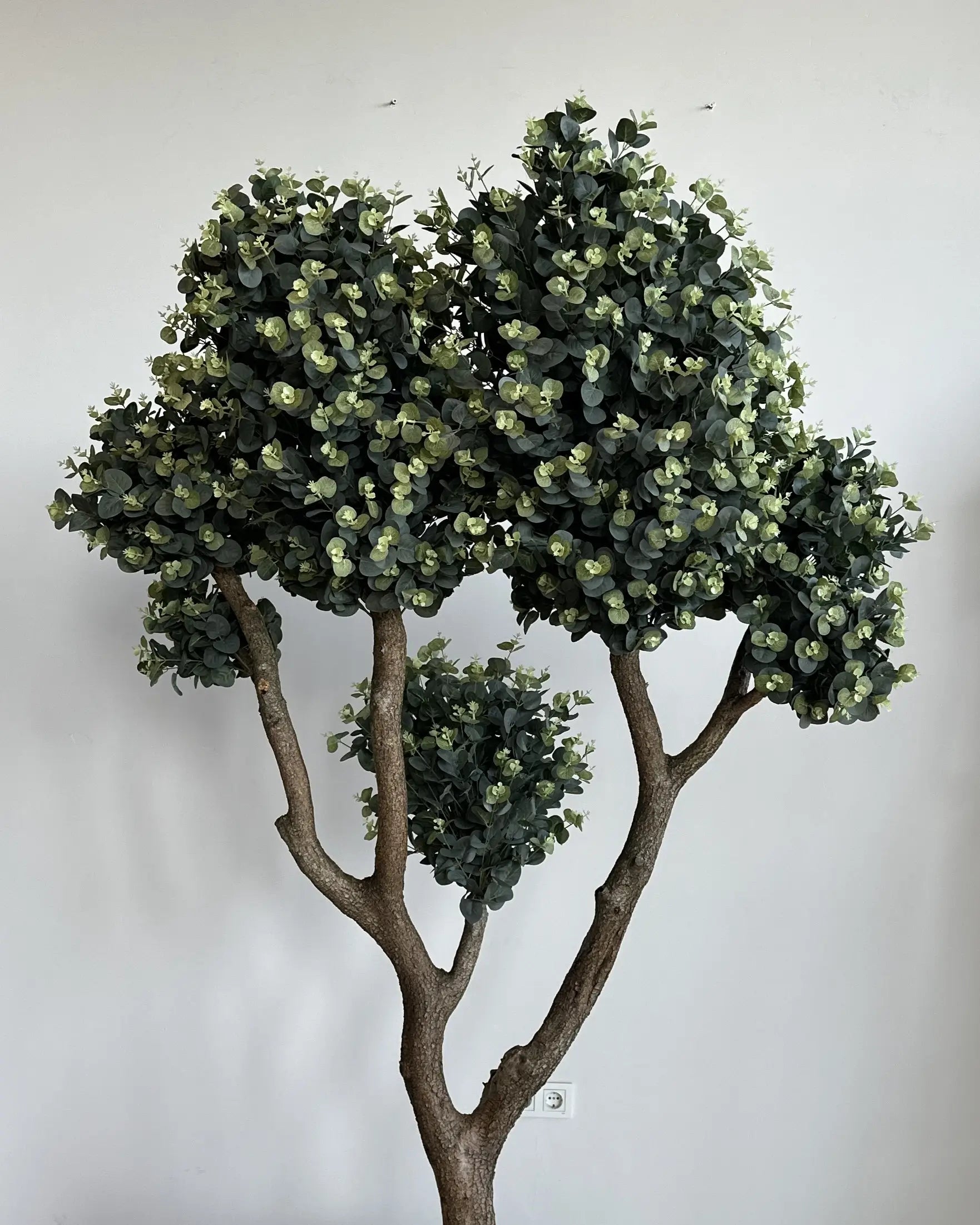 Premium 220cm Artificial Eucalyptus Tree Natural Trunk Concrete Planter Decor