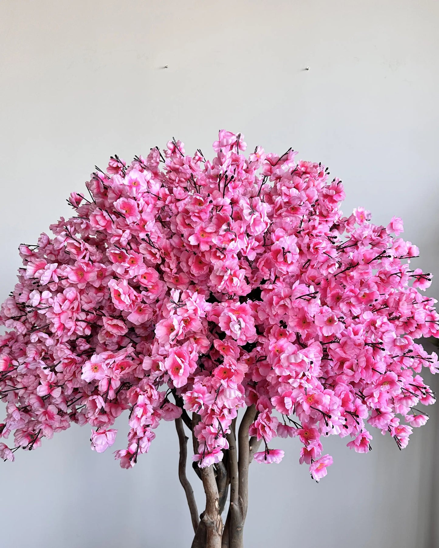 Elegant Artificial Sakura Cherry Blossom Tree with Vase - 195cm Tall
