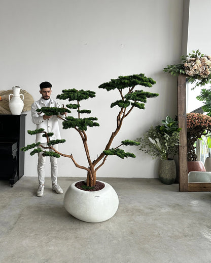 Premium Lifelike Artificial Bonsai Tree with Natural Wood Trunk & Moss