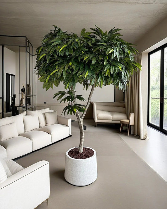 Premium Lifelike Tropical Mango Foliage Plant - 2.2m Tall Artificial Tree