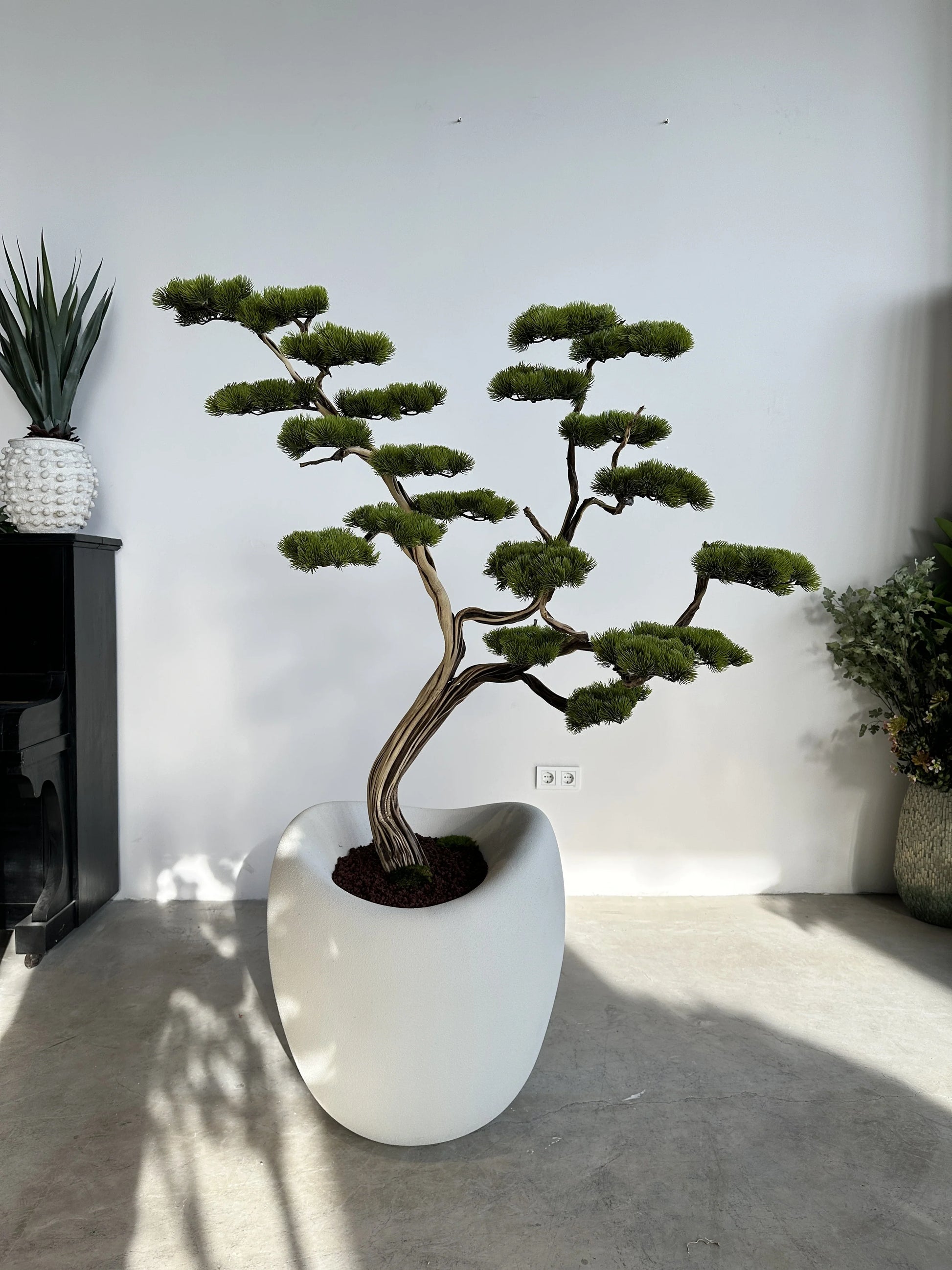 Premium Artificial Manzanita Bonsai Tree Elegant Indoor Home Decoration