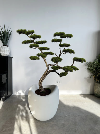Premium Artificial Manzanita Bonsai Tree Elegant Indoor Home Decoration