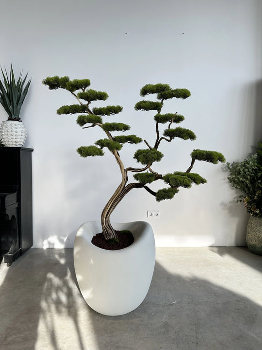 Premium Artificial Manzanita Bonsai Tree Elegant Indoor Home Decoration