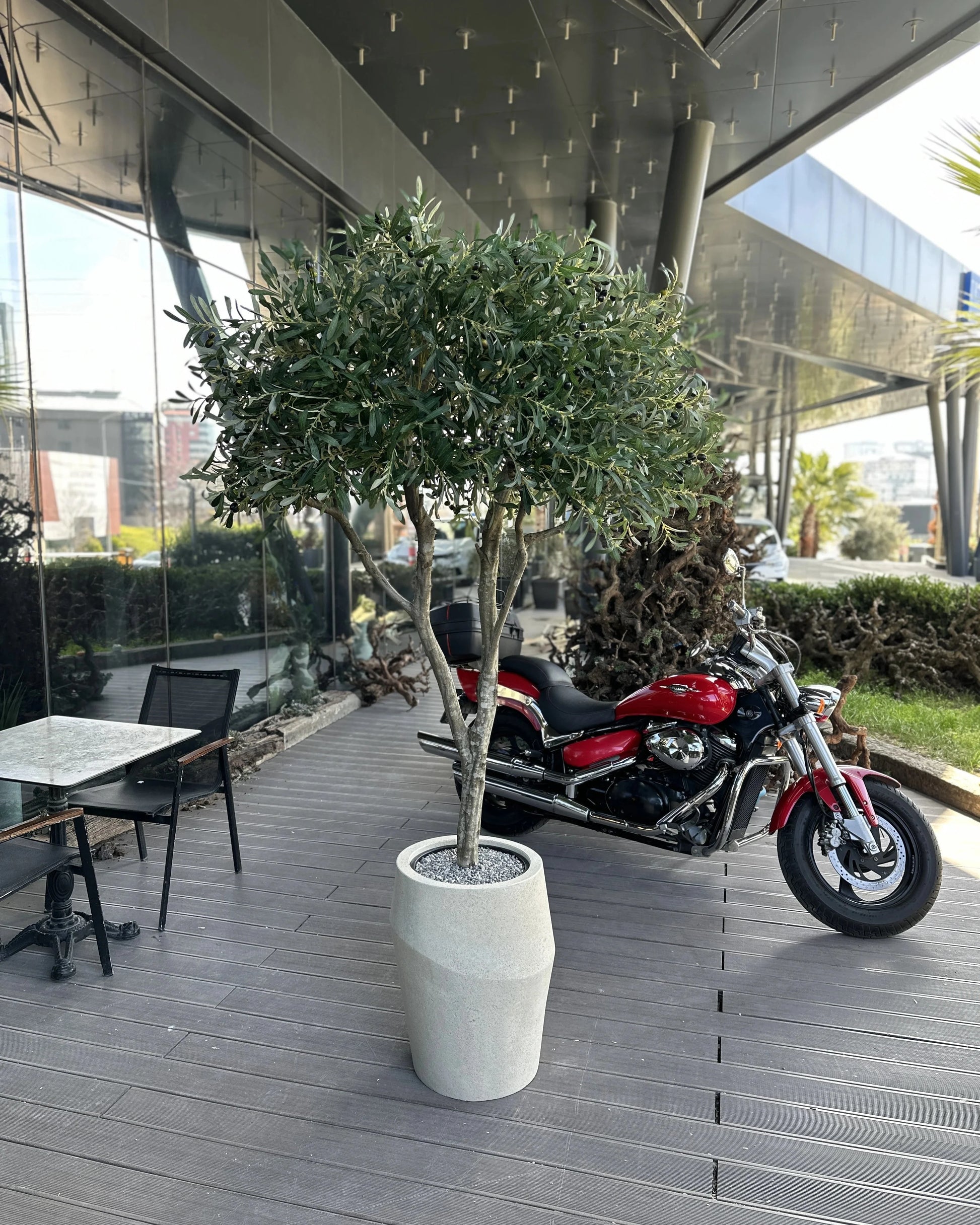 Elegant Lifelike Mediterranean Olive Tree - Maintenance-Free Indoor Decorative Plant