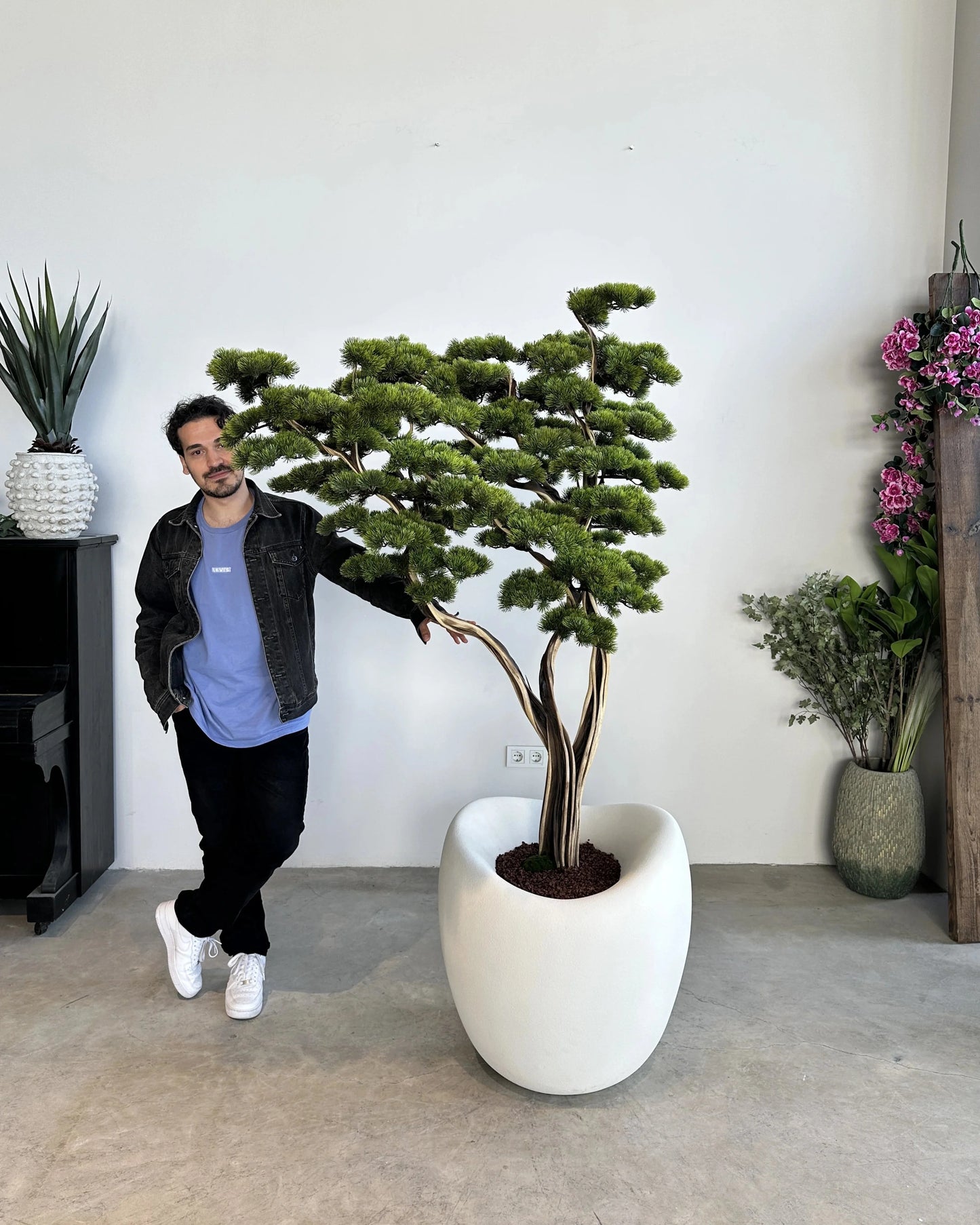 Premium Artificial Manzanita Bonsai Tree with Elegant Curved Branches