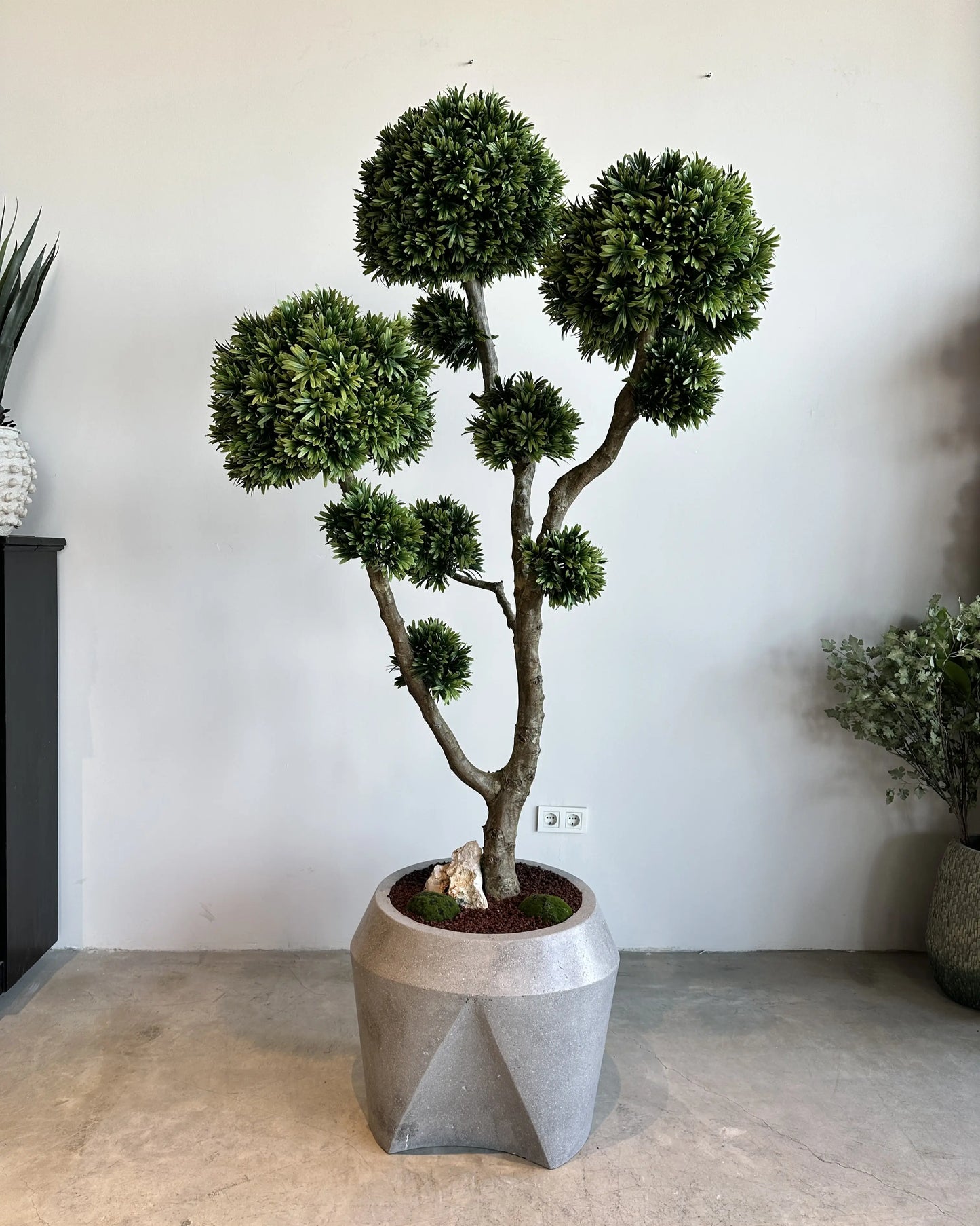 Premium Faux Podocarpus Tree with Natural Trunk & Modern Concrete Vase Decor