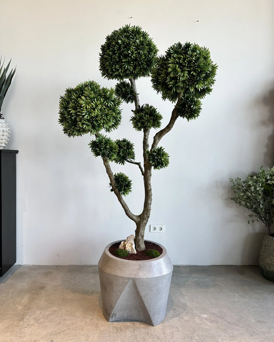 Premium Faux Podocarpus Tree with Natural Trunk & Modern Concrete Vase Decor