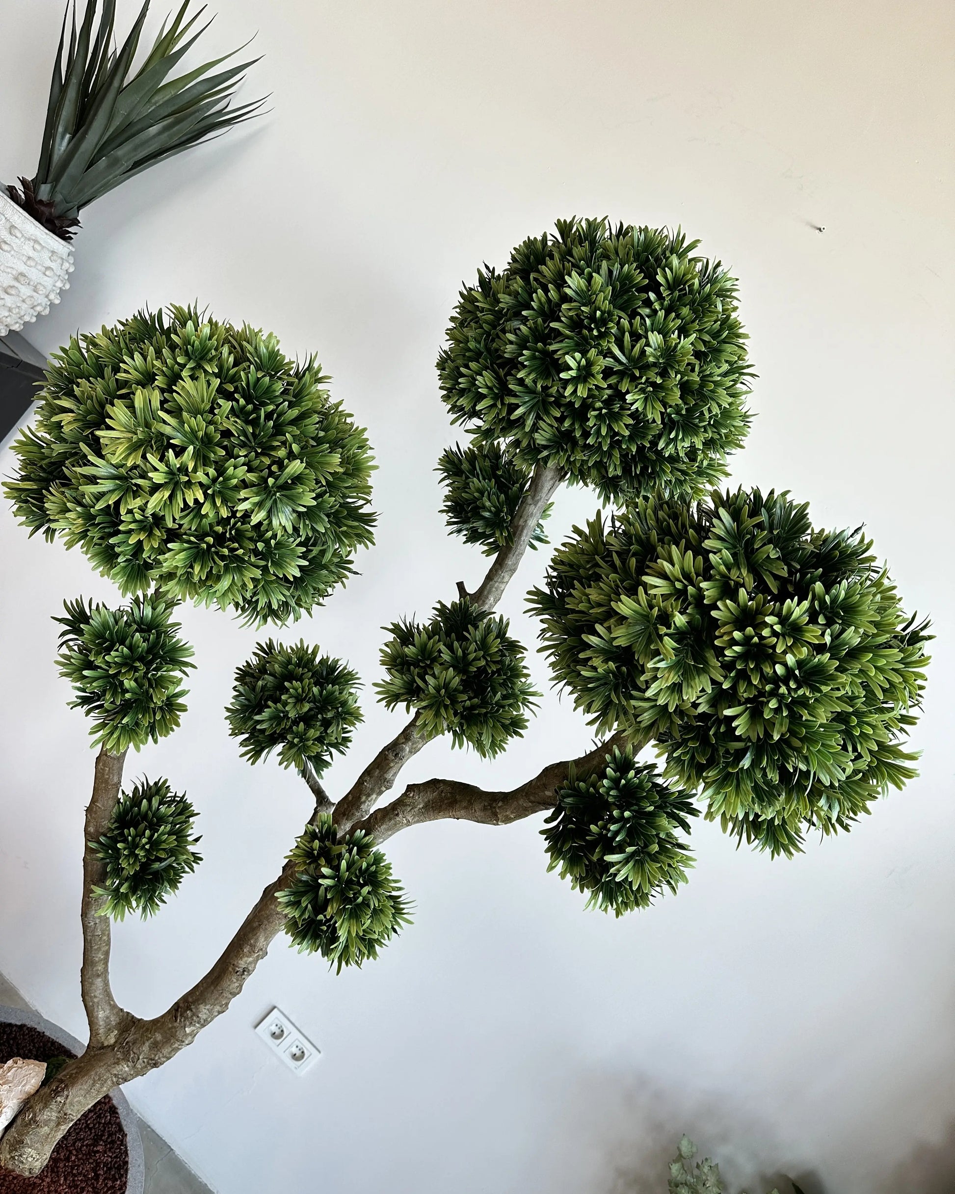 Premium Faux Podocarpus Tree with Natural Trunk & Modern Concrete Vase Decor