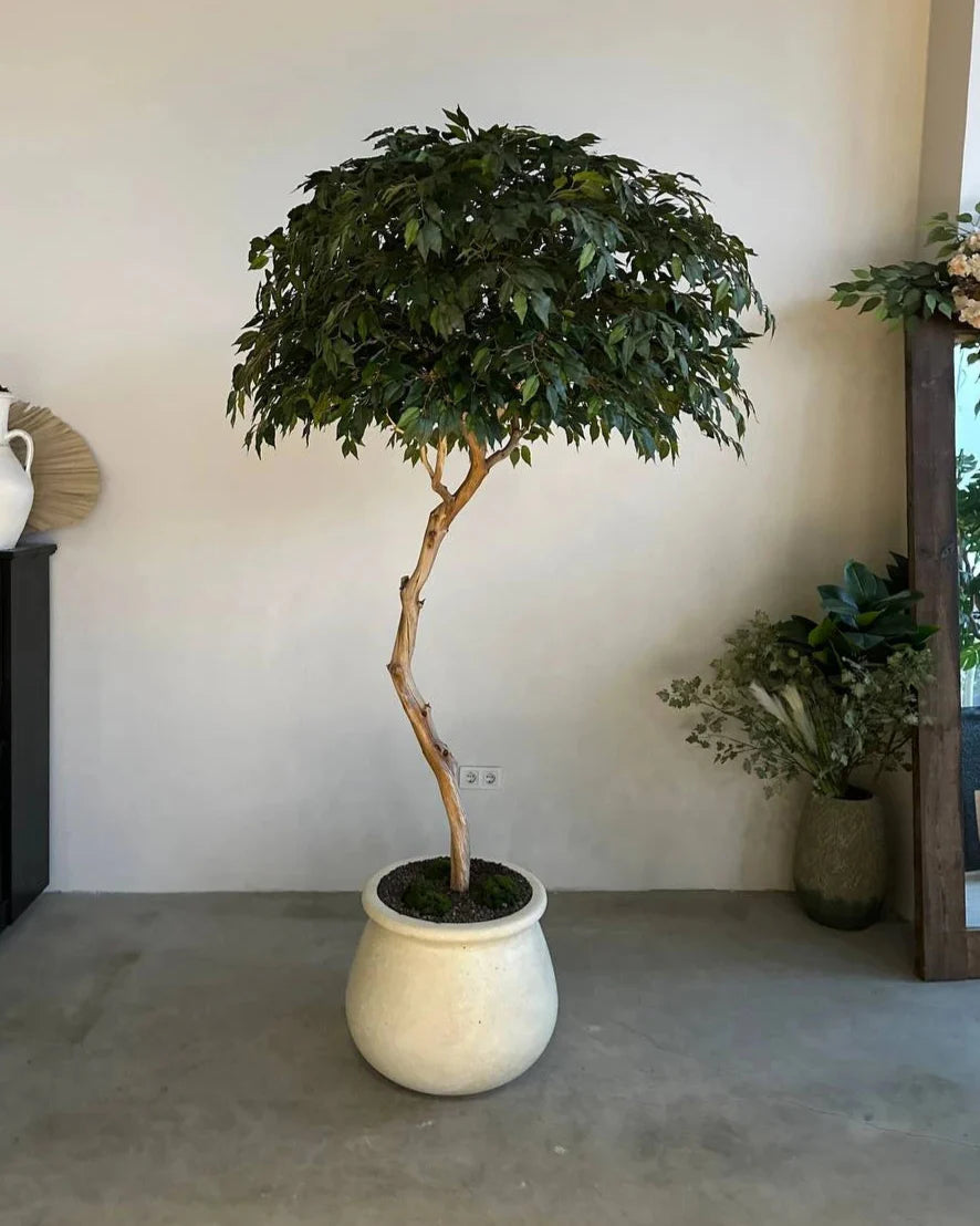 Majestic Ficus Lyrata Artificial Tree with Elegant Decorative Vase